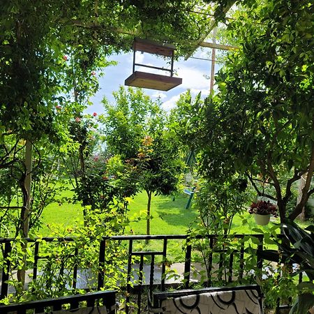 شكودر Room With Private Garden المظهر الخارجي الصورة