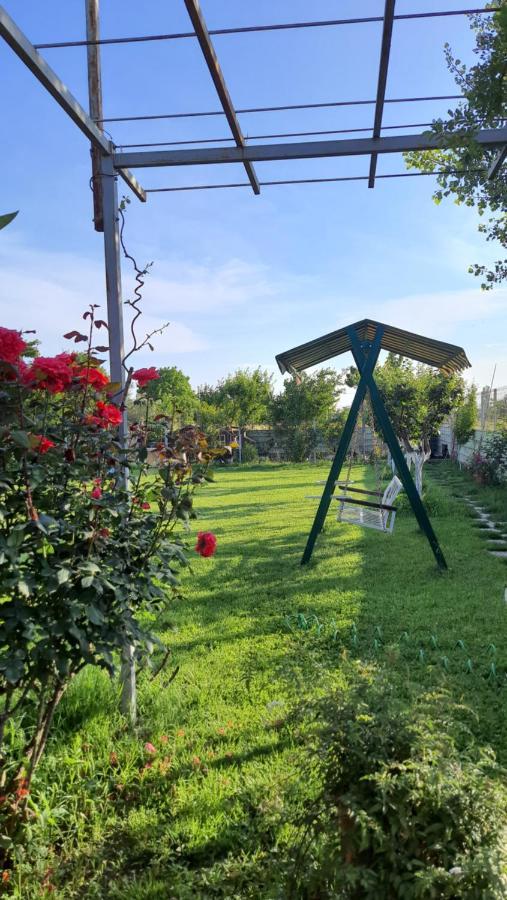 شكودر Room With Private Garden المظهر الخارجي الصورة