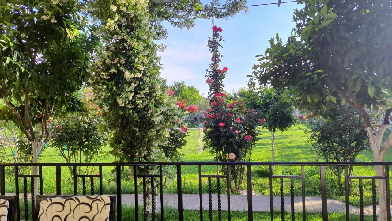 شكودر Room With Private Garden المظهر الخارجي الصورة